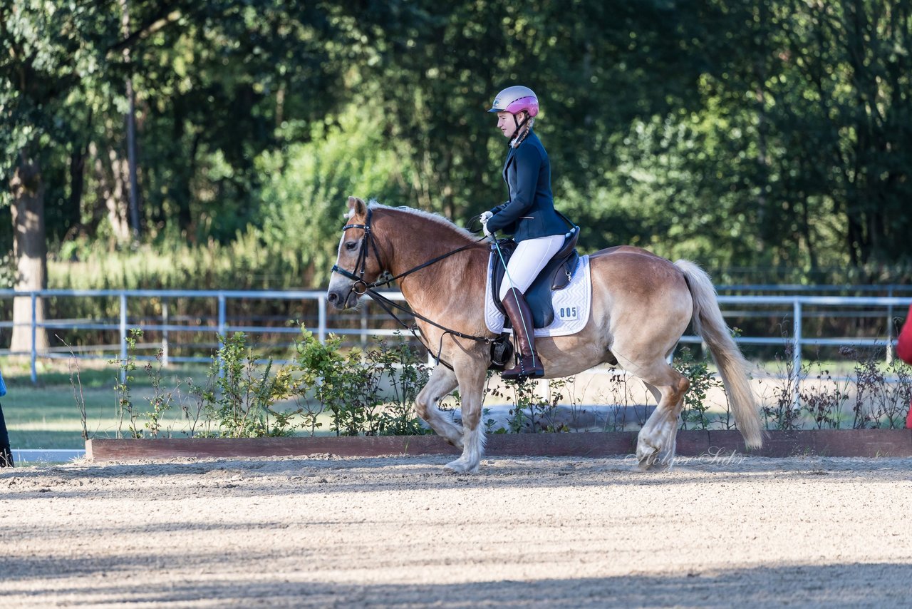 Bild 6 - Pony Akademie Turnier